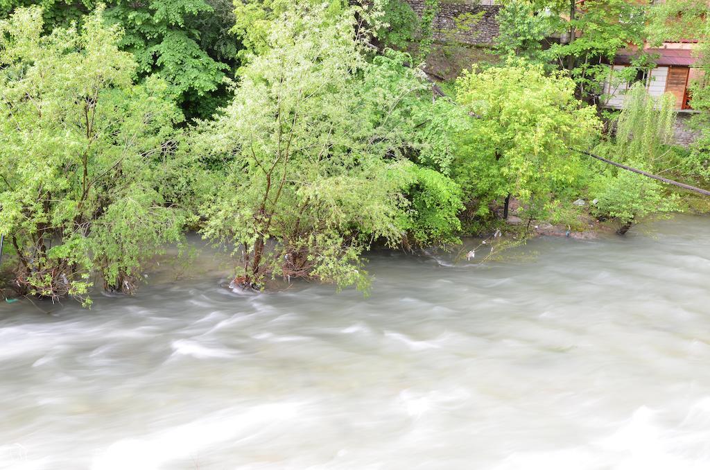 Pensiunea Deea Băile Herculane Exteriér fotografie
